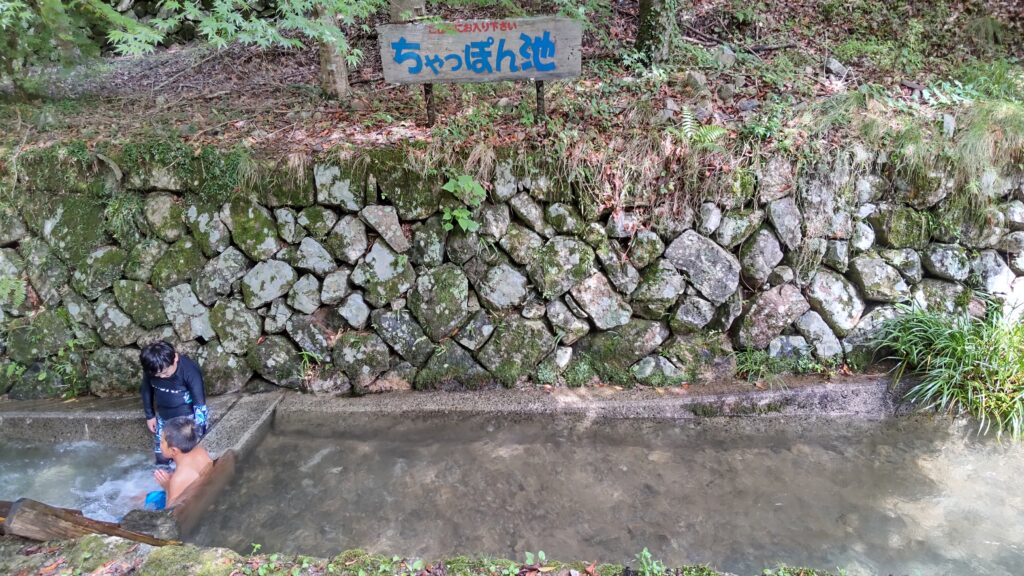 ちゃっぽん池