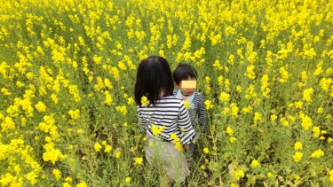 下松スポーツ公園花の広場