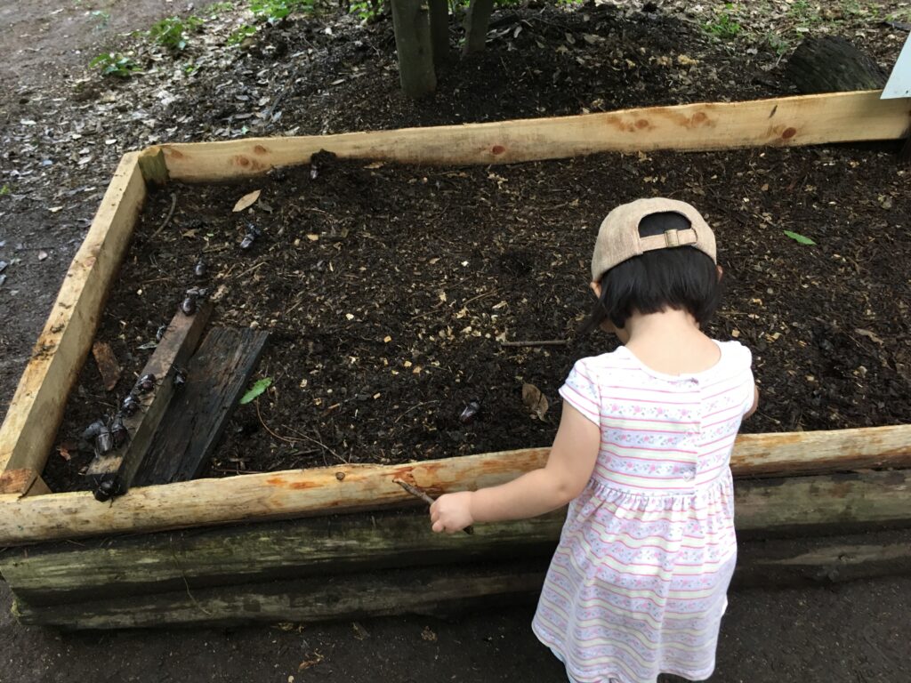 むつみ昆虫王国のベッドでカブトムシを探す子供