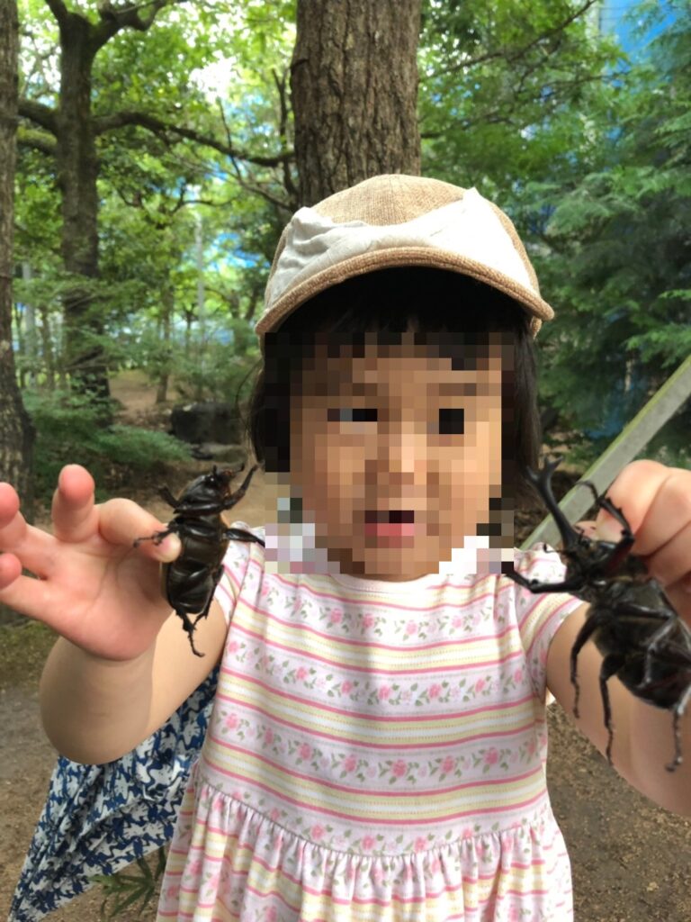 むつみ昆虫王国のカブトムシと子供