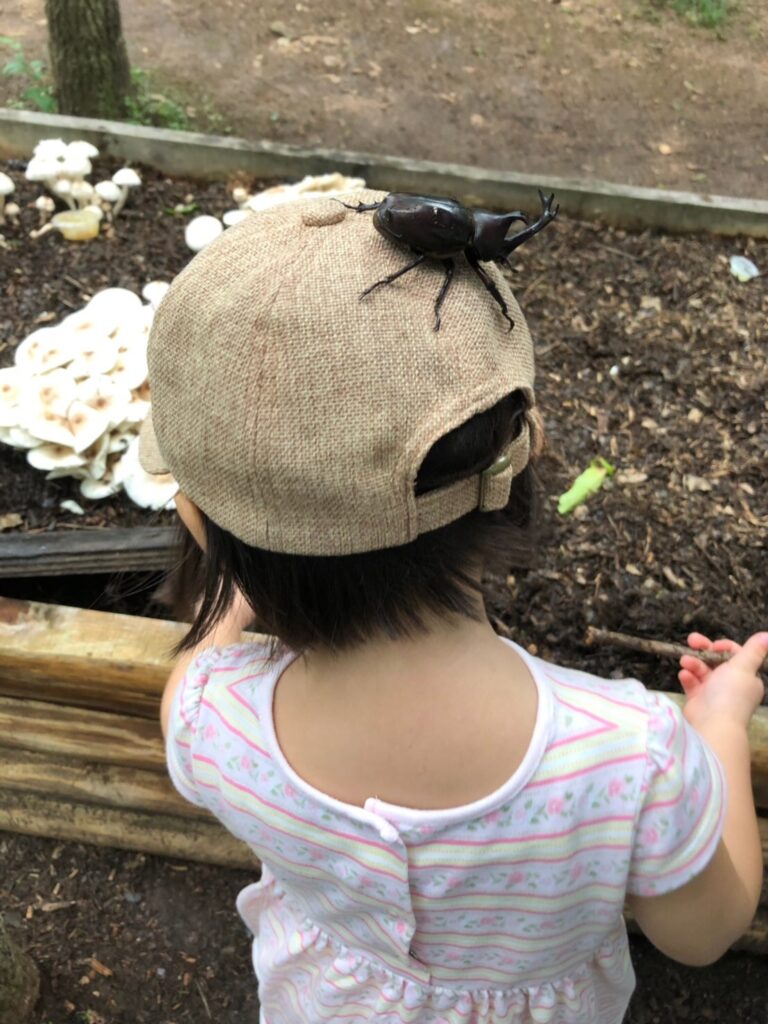 むつみ昆虫王国のカブトムシと子供