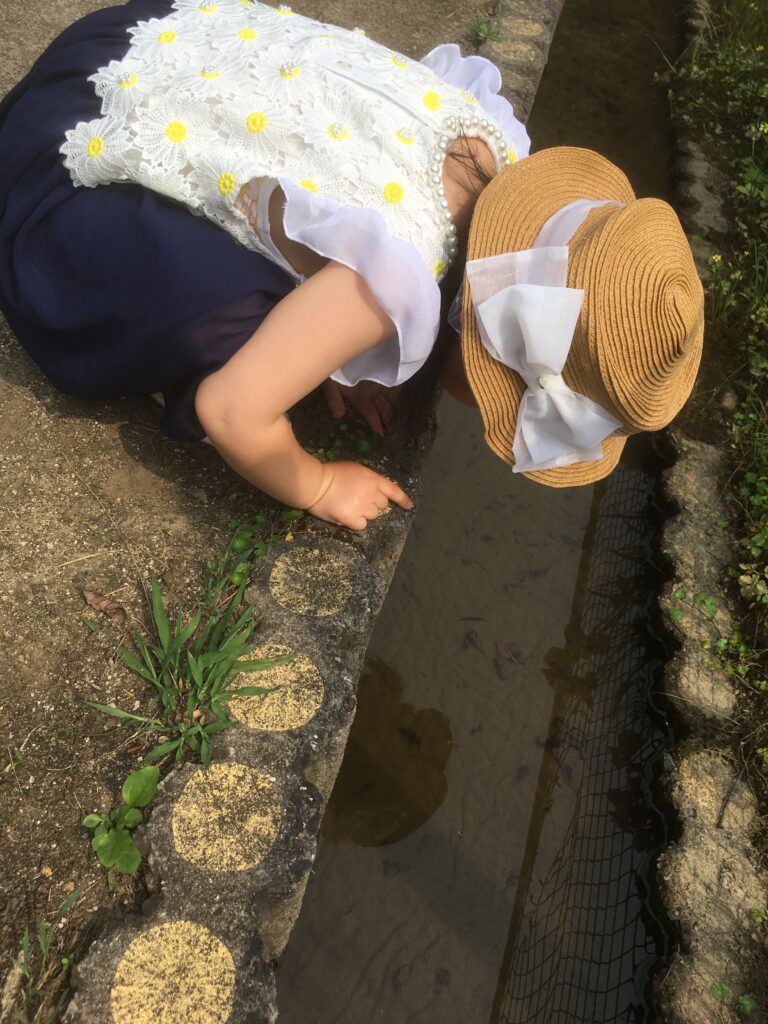 おたまじゃくしを観察する女の子