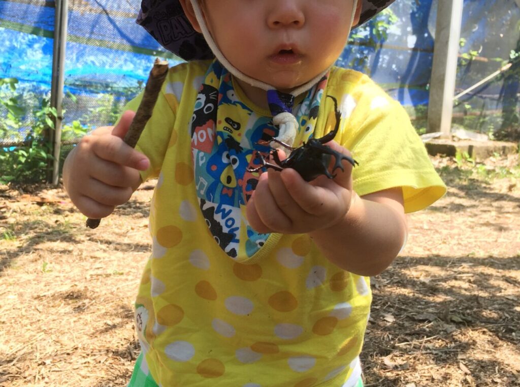 むつみ昆虫王国のカブトムシと子供