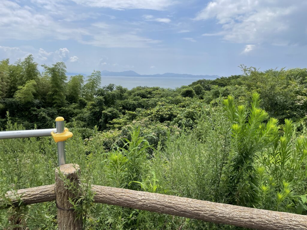 竜王山公園眺望