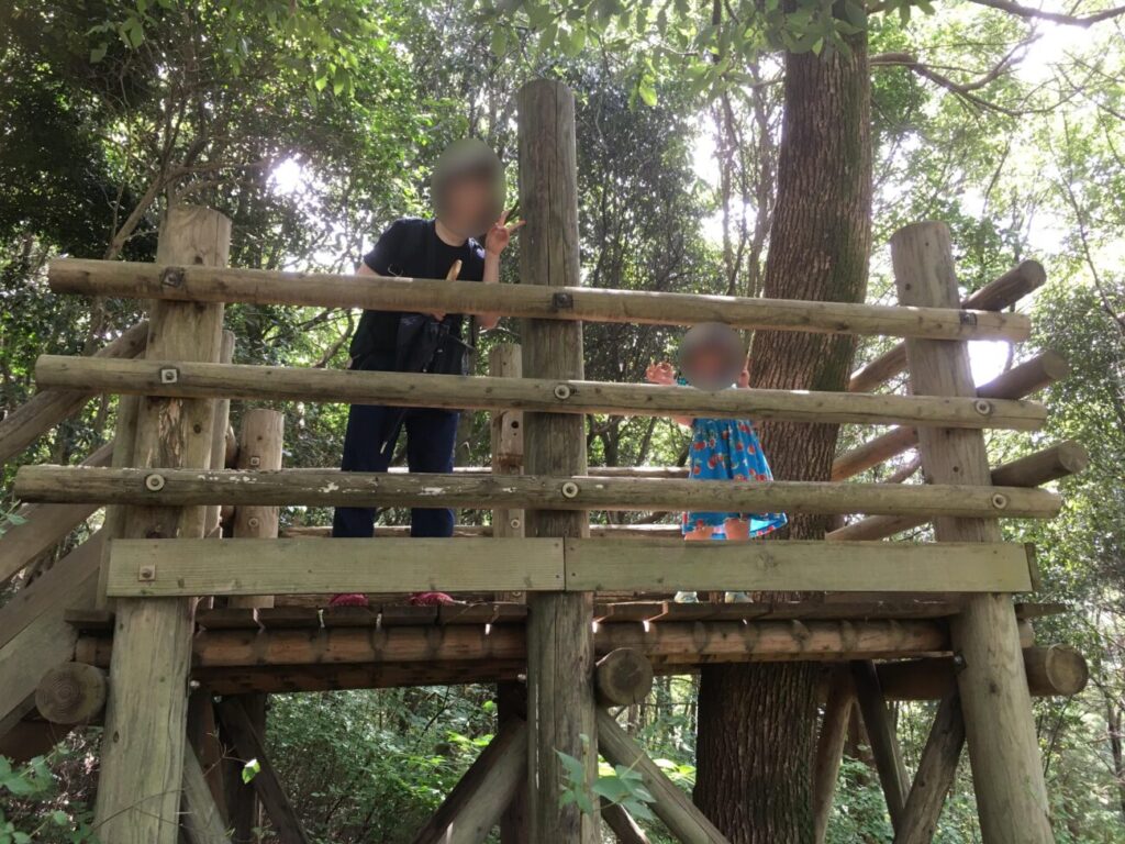 やまぐちフラワーランドの散策道