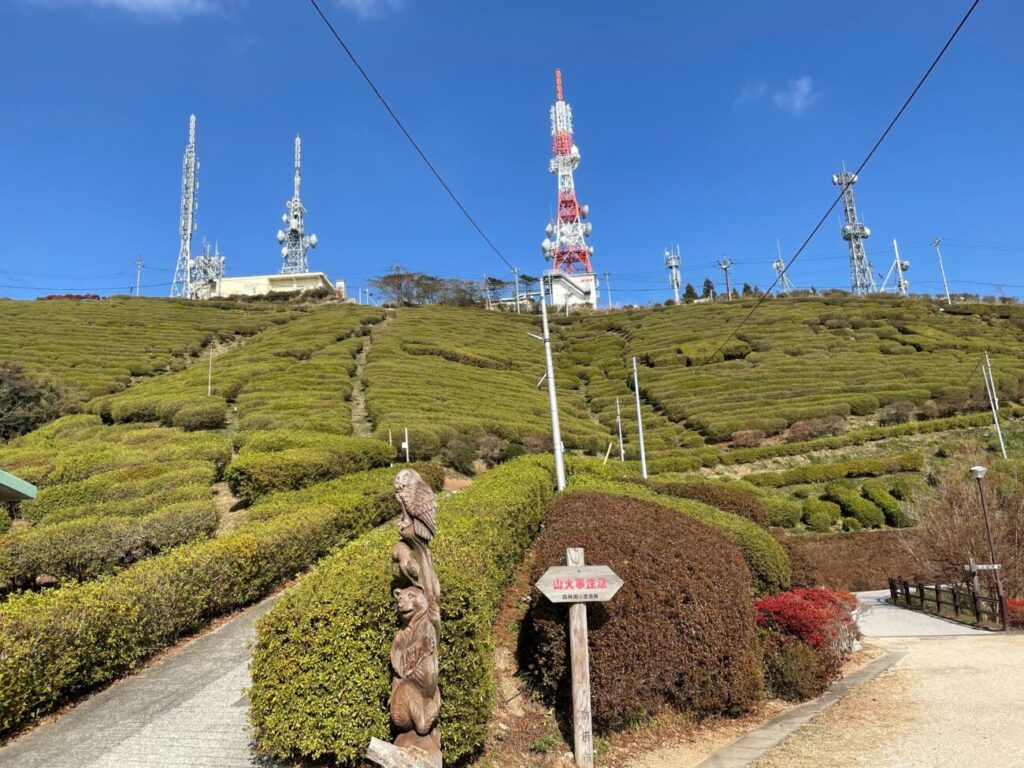 Azalea field in Ōhirayama Summit Park