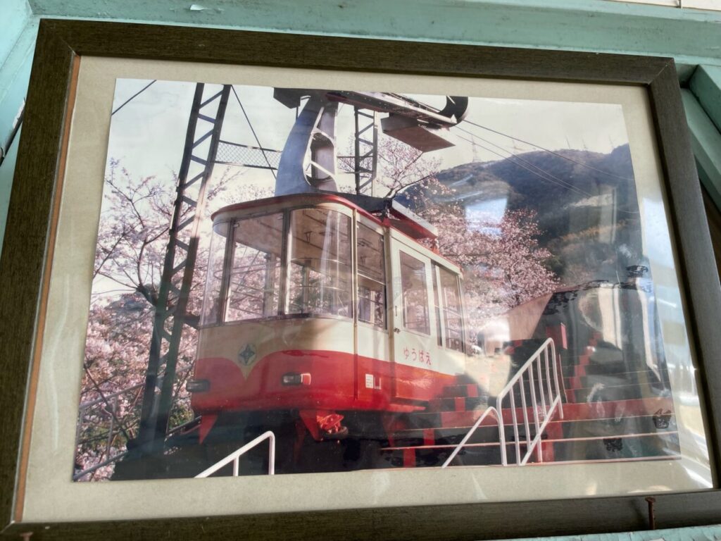 Gondola and cherry blossoms on the Ohirayama Ropeway