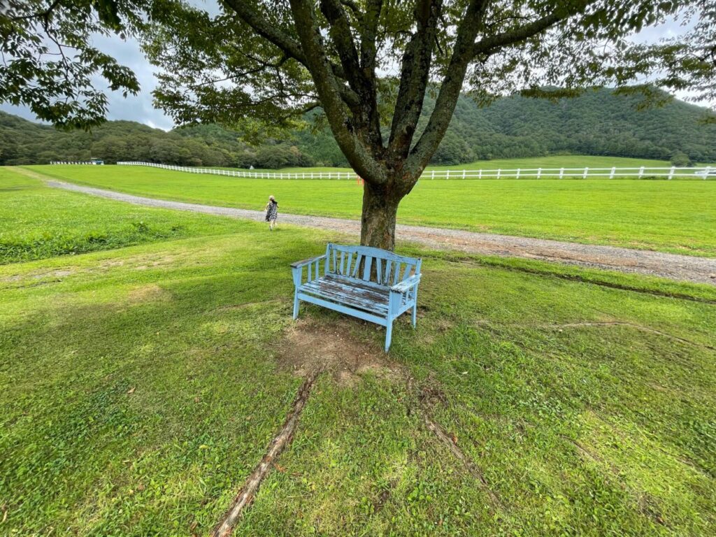 船方農場のかわいい青色のベンチ
