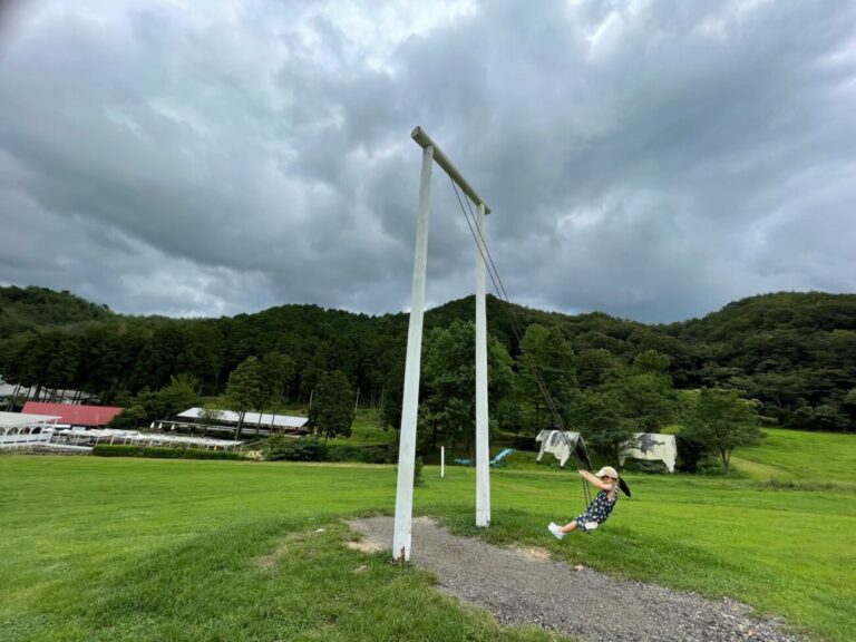 船方農場の巨大ブランコ