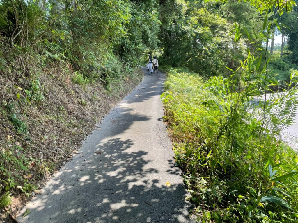 福田フルーツパークのぶどう園への坂道