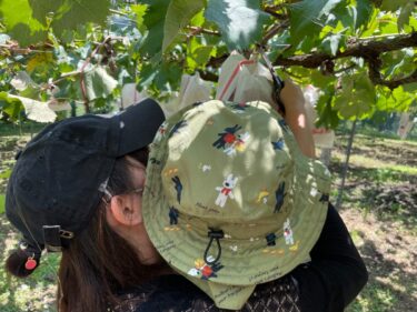 【福田フルーツパーク】シャインマスカットも収穫できる遊具のある観光農園【山口県周南市】