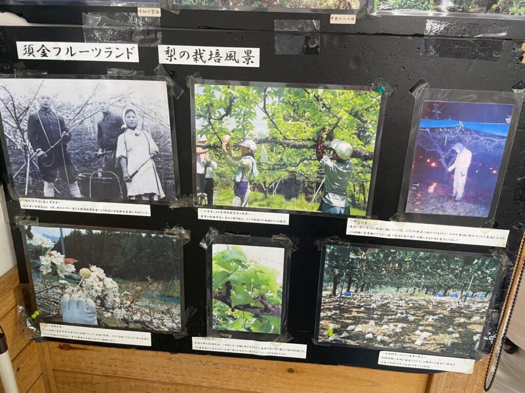 須金フルーツランドの写真