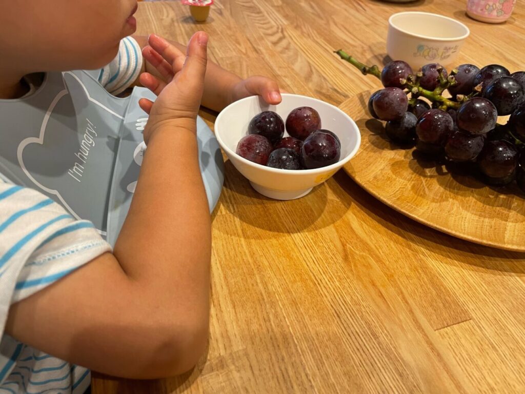 福田フルーツパークで収穫したピオーネを食べる子供