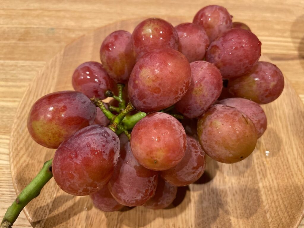 福田フルーツパークで収穫した安芸クイーン