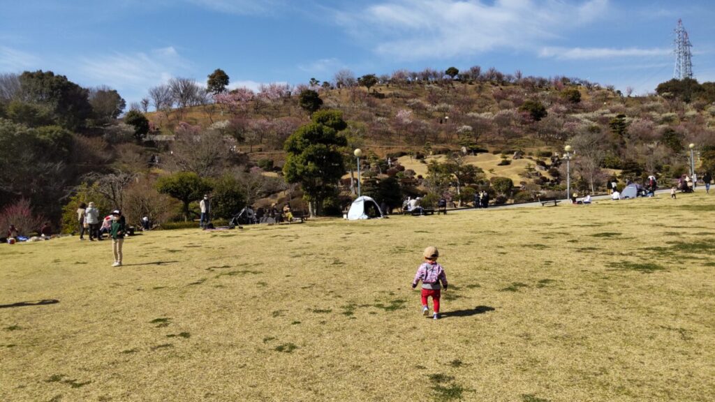 冠山総合公園のこどもの森