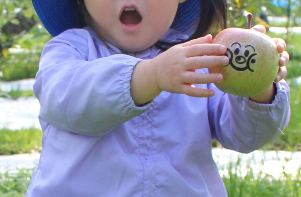 徳佐りんご園でアンパンマンのシールが貼られたリンゴをみつけ喜ぶ子供