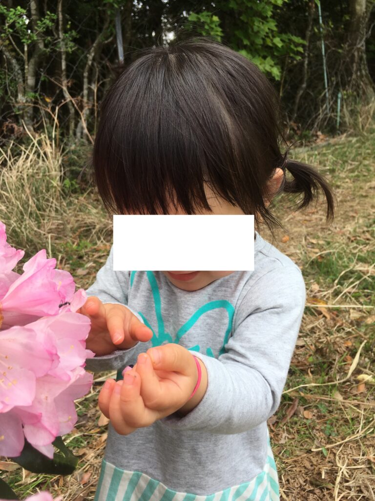長門市の俵山しゃくなげ園で虫をつかまえるこども