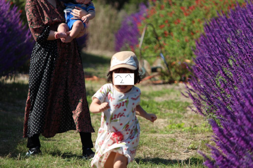 Children running through the cosmos fields of Refresh Park Toyoura