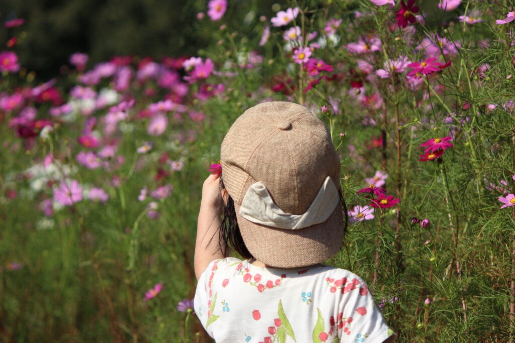 Cosmos and children in Refresh Park Toyoura