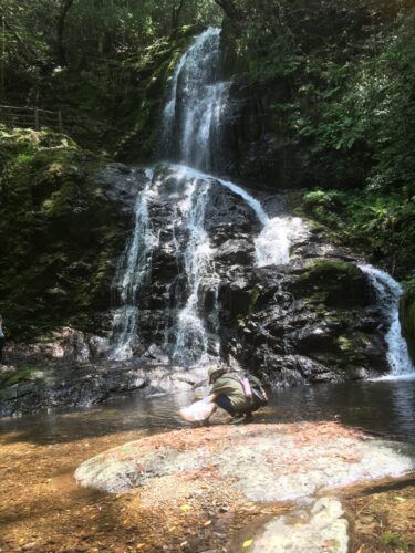 【秋芳白糸の滝】高さ30mの滝で涼をとろう！【山口県美祢市】