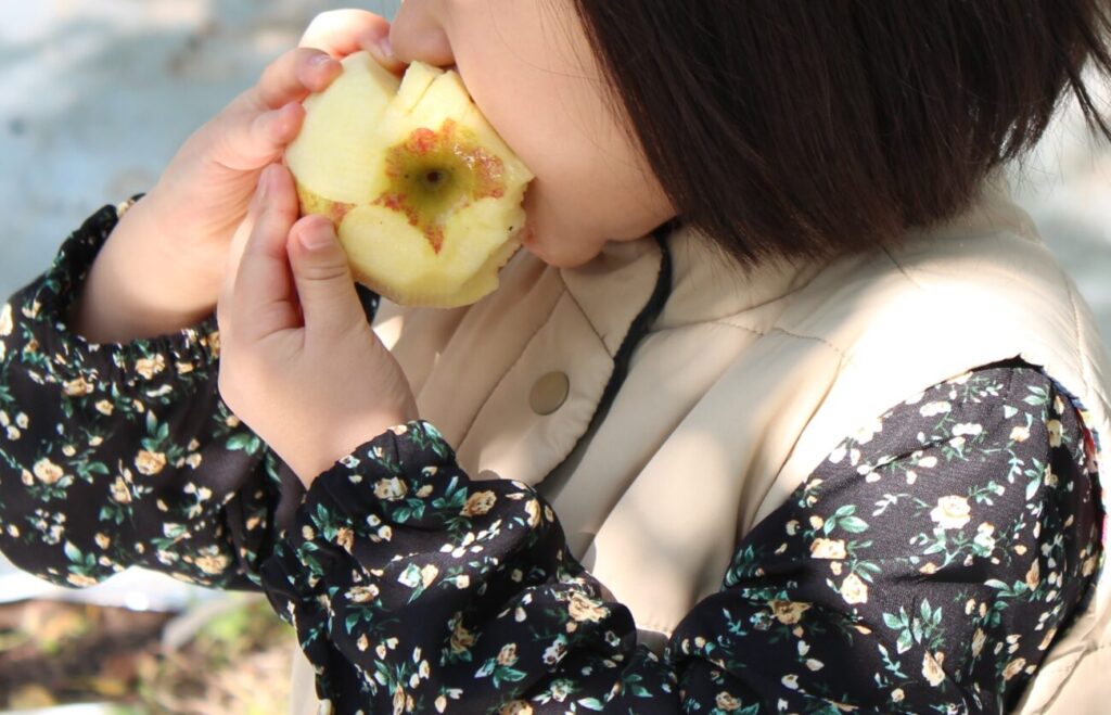 徳佐りんご園でりんごをかじる子供
