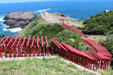 【元乃隅神社】123個の鳥居をくぐって龍宮の潮吹きを見てみよう！【山口県長門市】