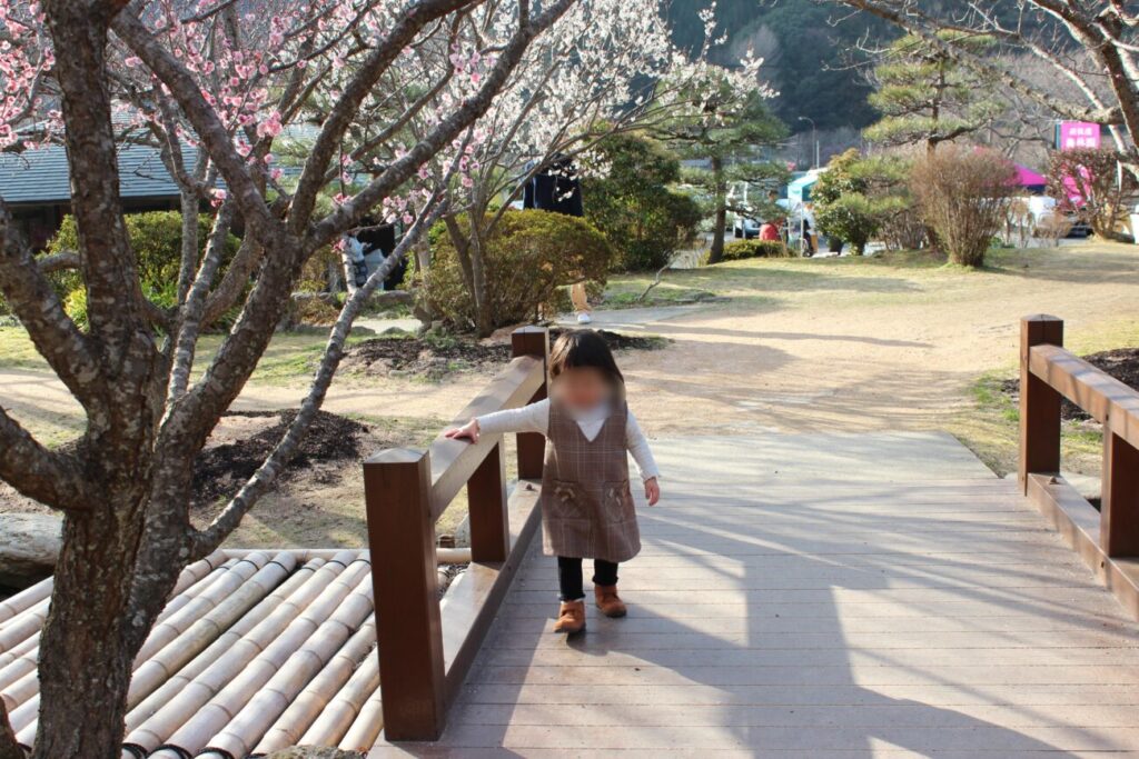 萩往還梅林園の梅とスロープ