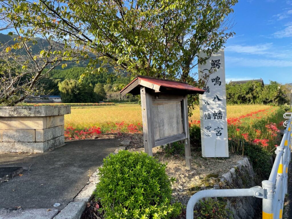 鰐鳴八幡宮の参道横の田んぼ