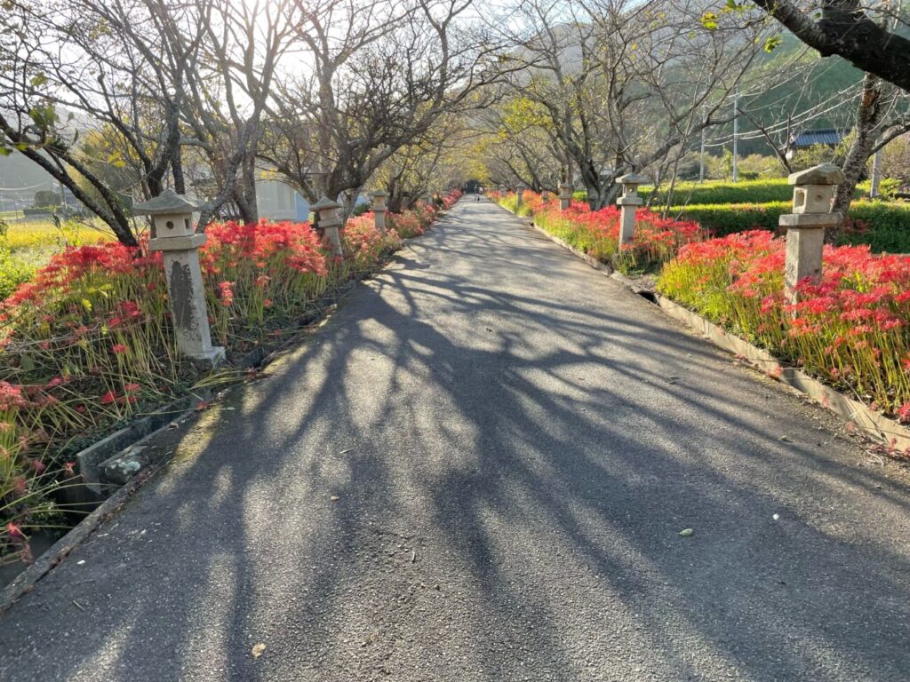 鰐鳴八幡宮の参道
