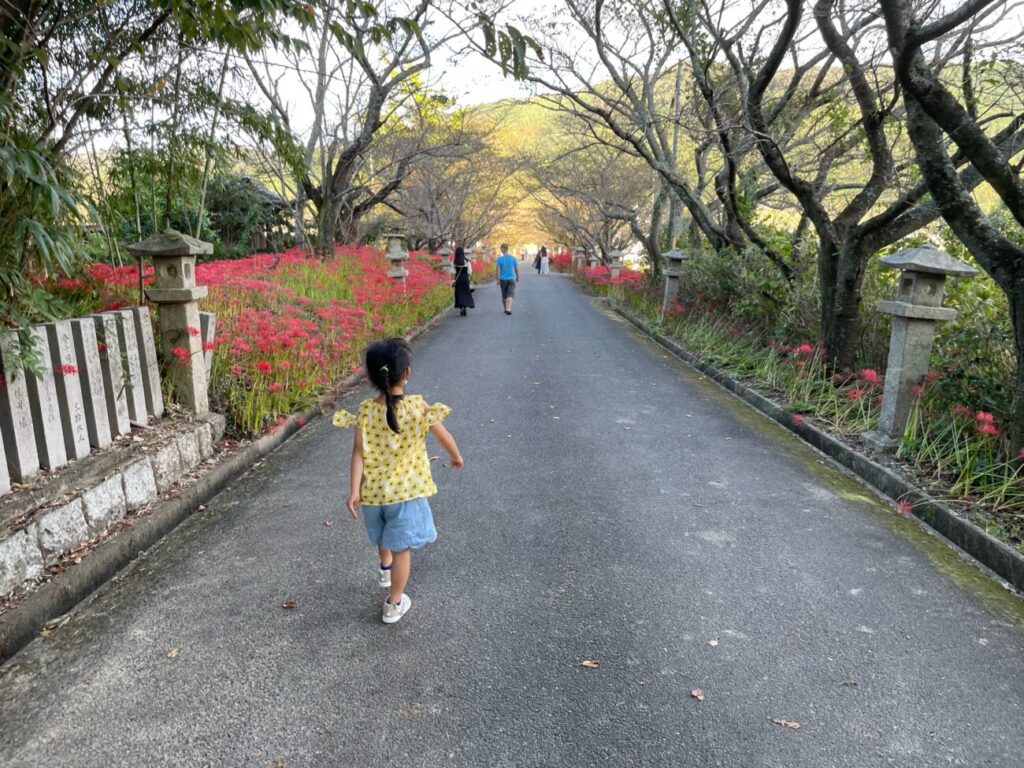 鰐鳴八幡宮の参道