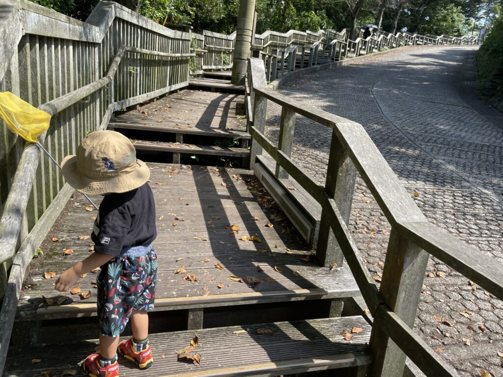 火の山公園の山頂の駐車場から山頂へ行く階段