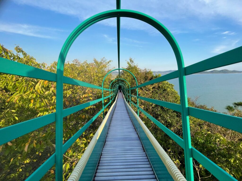 藤尾山公園の長いローラー滑り台