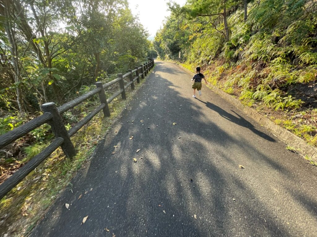 藤尾山公園の展望広場へ続く登山道