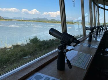 【きらら浜自然観察公園】手ぶらで野鳥観察が出来る生き物が沢山の自然公園【山口県山口市】