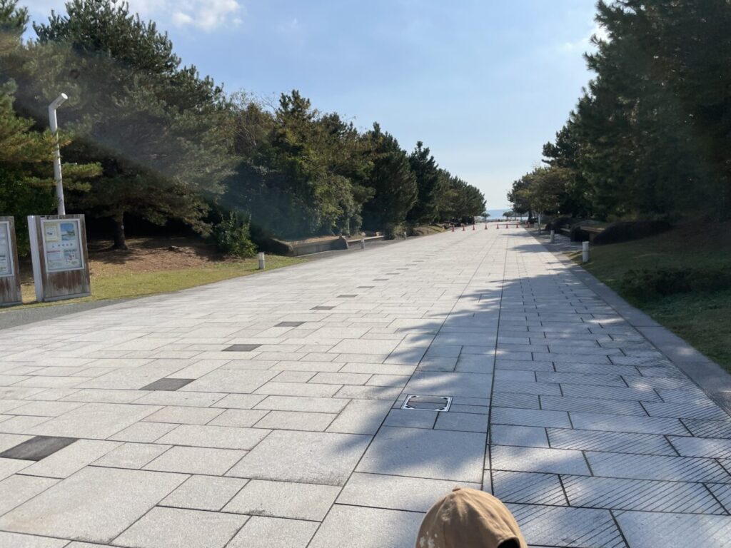 山口きらら博記念公園のトリムの広場までの道