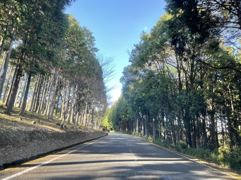 秋吉台家族旅行村入場ロード