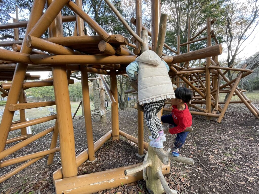 秋吉台家族旅行村の丸太王国のツリーハウスに子供子供