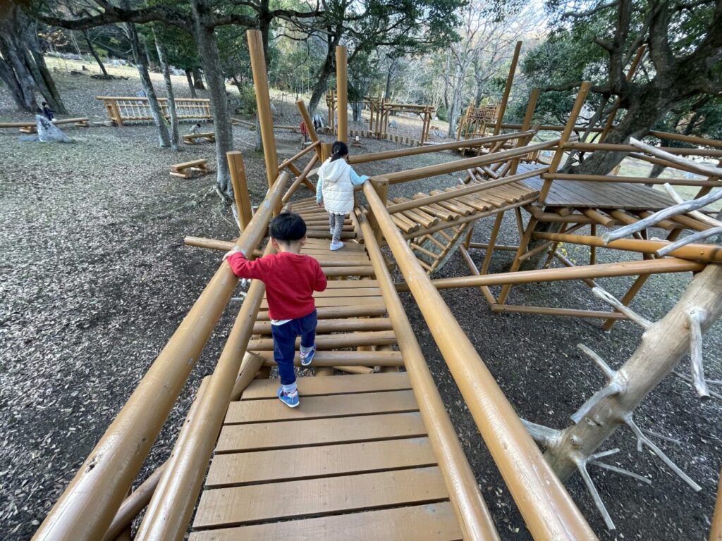 秋吉台家族旅行村の丸太王国の丸太の橋