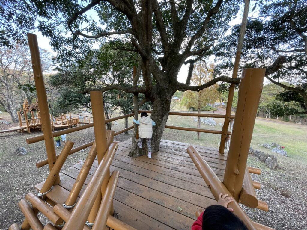 秋吉台家族旅行村の丸太王国のツリーハウス