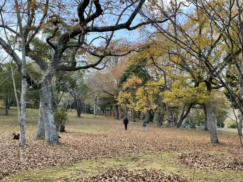 秋吉台家族旅行村の丸太王国横の森の広場