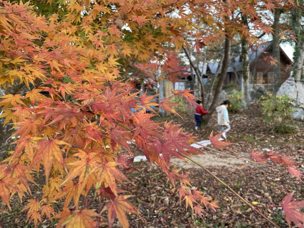 秋吉台家族旅行村の紅葉