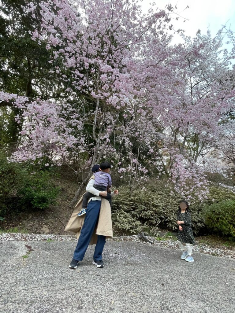 江汐公園の満開の桜