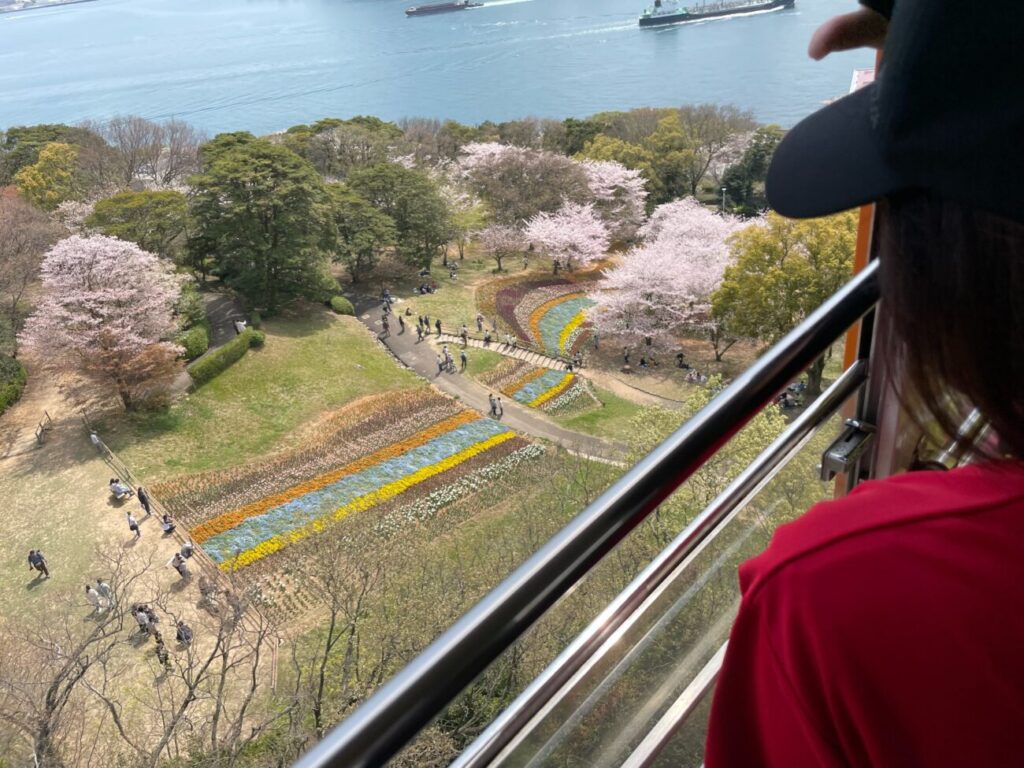 火の山ロープウェイで上空から見るトルコチューリップ園