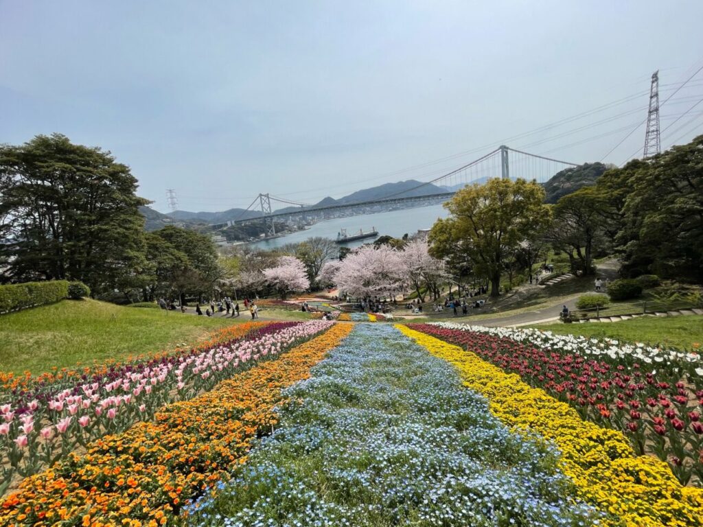 火の山公園トルコチューリップ園のチューリップと桜と関門橋と関門海峡