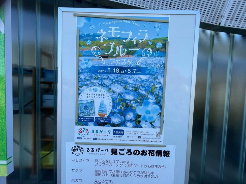 るるパークのネモフィラ畑の看板