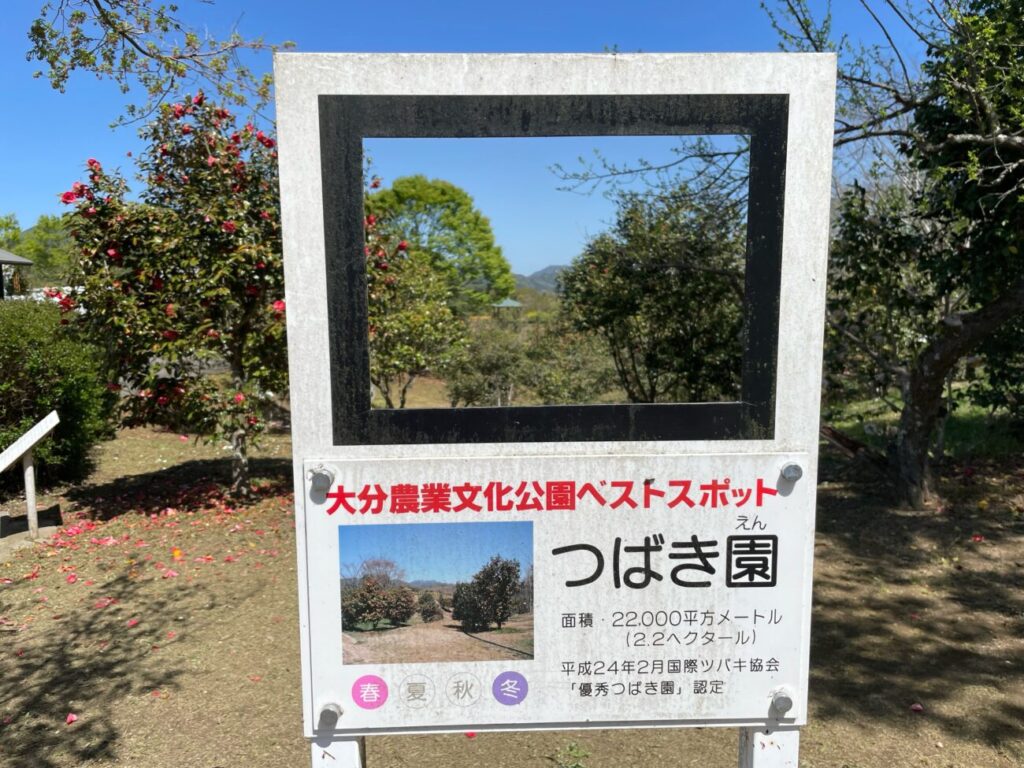 るるパークのつばき園