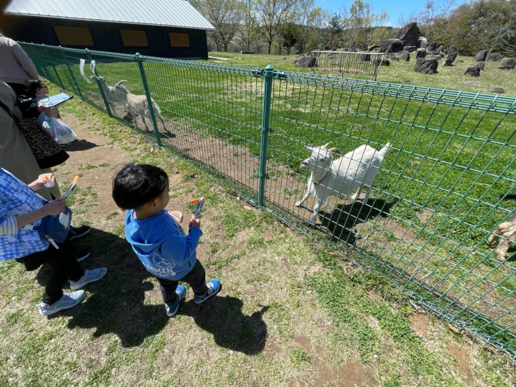るるパークのミニ動物園