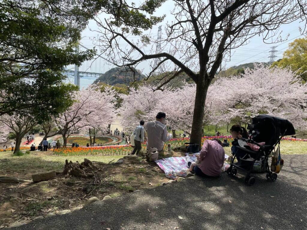 火の山公園トルコチューリップ園で花見をする人たち