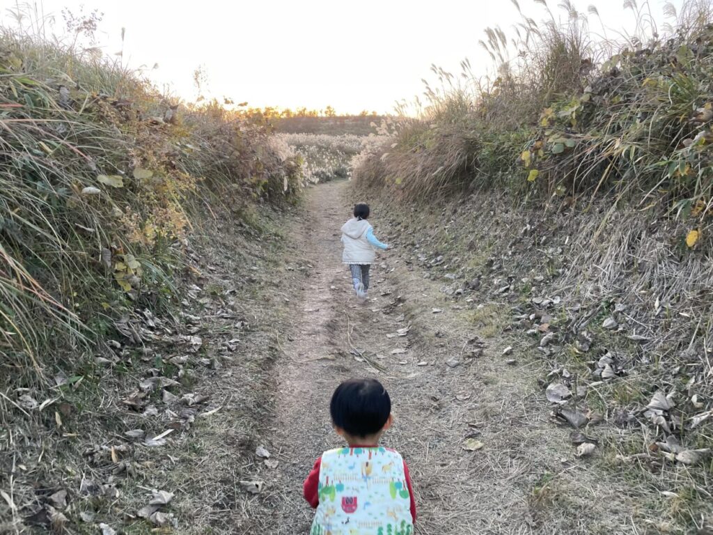 秋吉台のススキ畑で走るこども