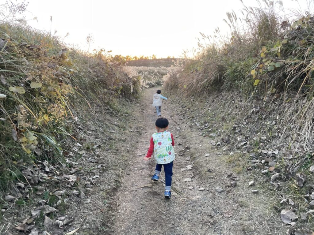 秋吉台のススキ畑で走るこども